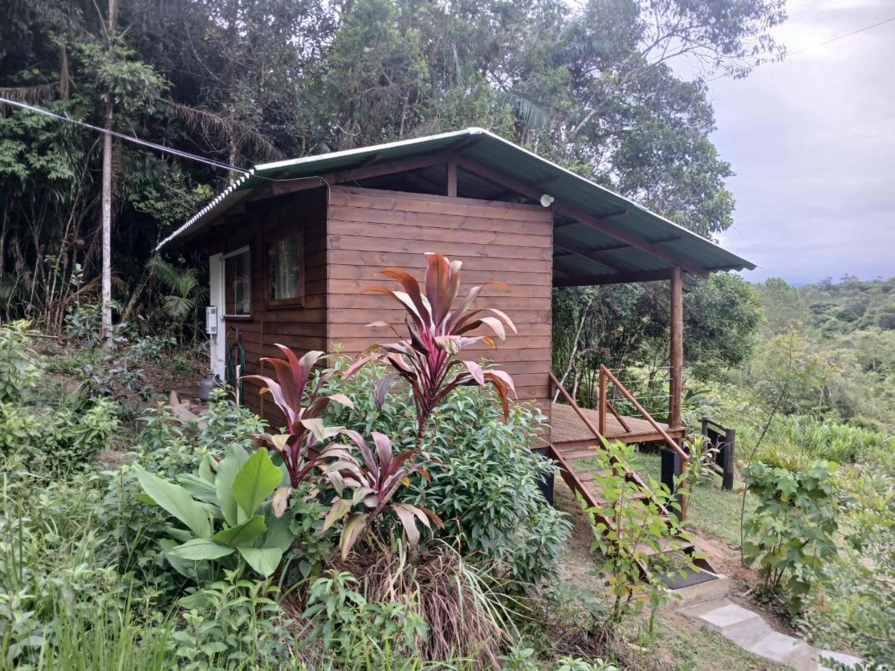 Cabana Manaca Da Serra Morretes Bagian luar foto